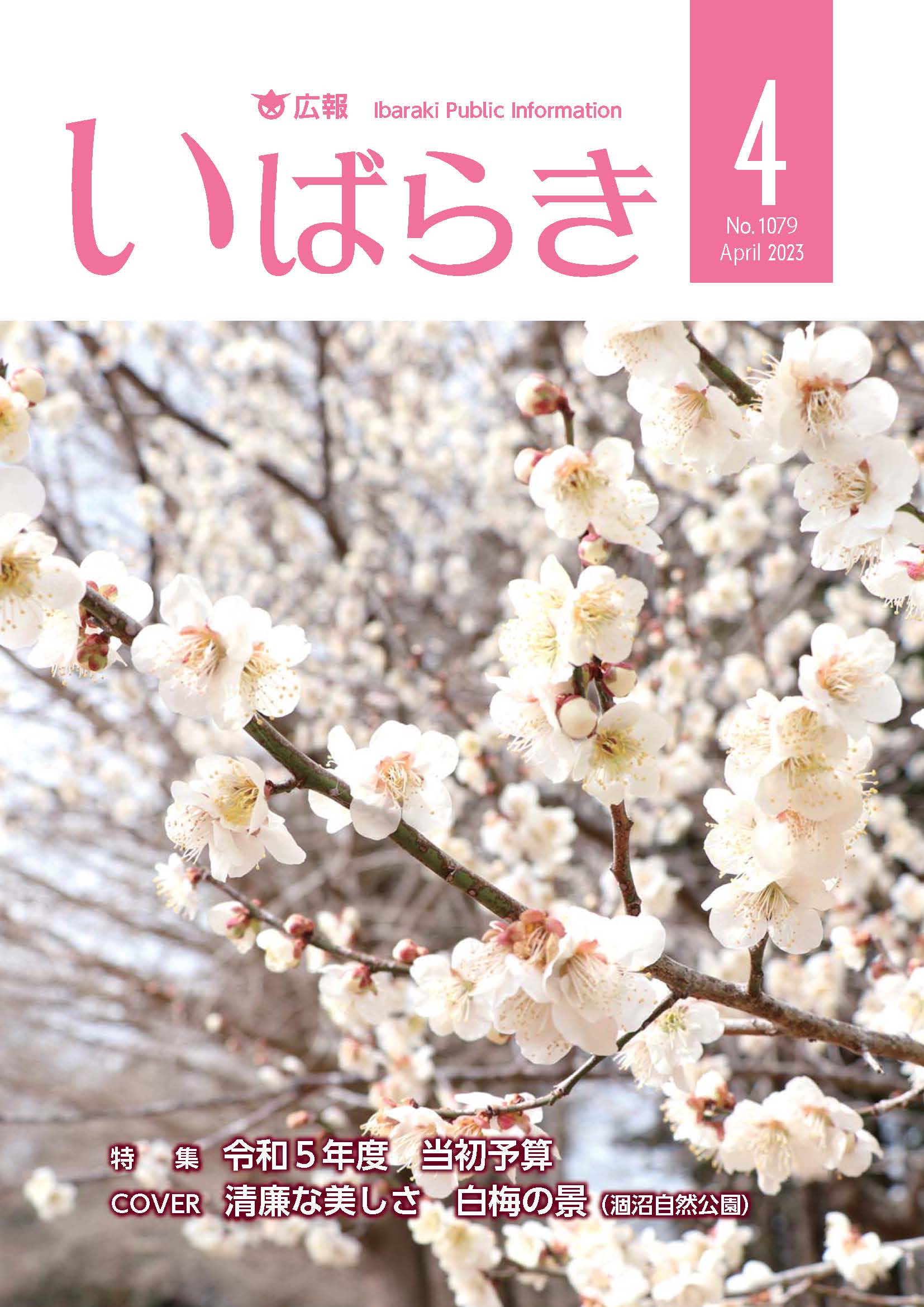 最新号