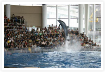 アクアワールド茨城県大洗水族館