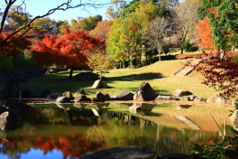 涸沼自然公園1