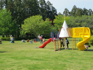 自然公園遊具