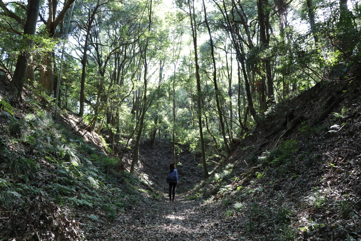 小幡城跡