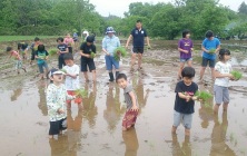 木部東部区4