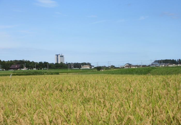 大山原メイン