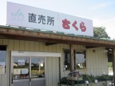 大山原4