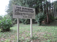 中山区13