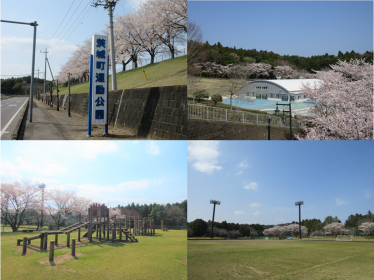 越安運動公園の写真