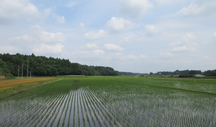 下雨ケ谷トップ