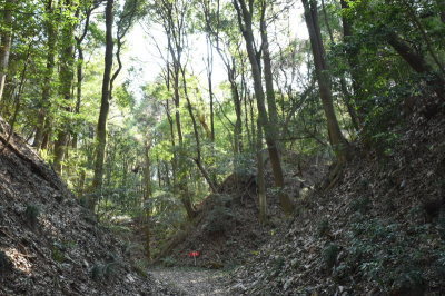 (写真)小幡城跡