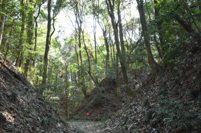 （写真）小幡城跡