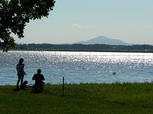 （写真）夏の親沢公園その2