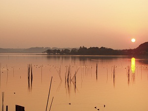 （写真）親沢公園の夕日その1