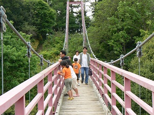 （写真）イトトンボ橋 ゴールデンウィーク1