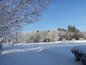 （写真）太陽の広場雪景色