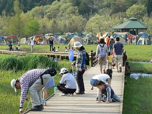 （写真）木道からキャンプ場