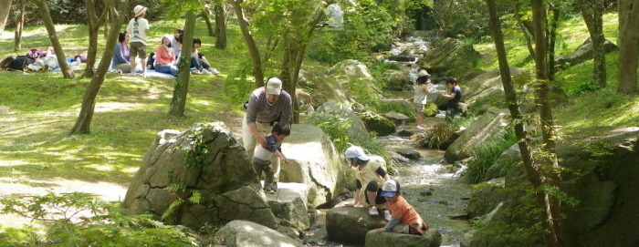 涸沼自然公園の写真1