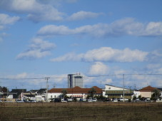 地内風景