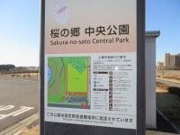 桜の郷中央公園1