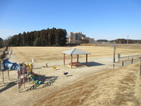 桜の郷中央公園2