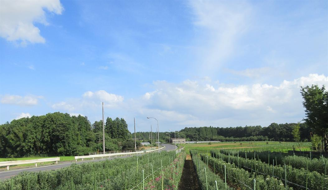 地内商業施設