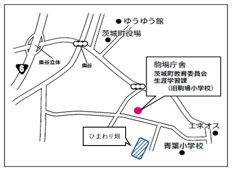 ひまわり畑位置図