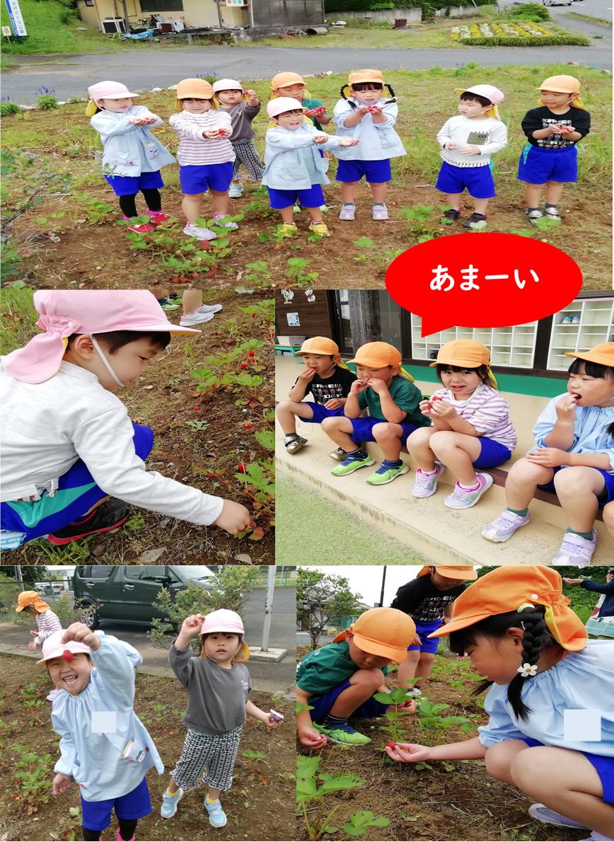 5月29日