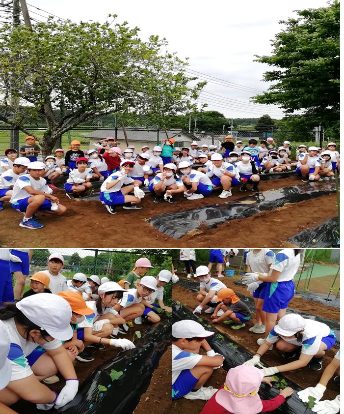 6月13日