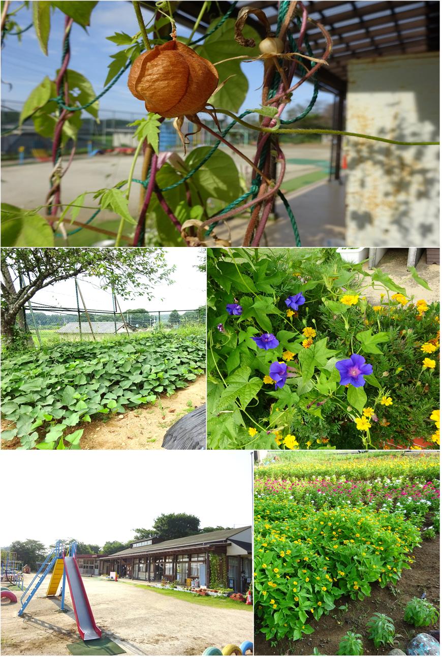 8月29日