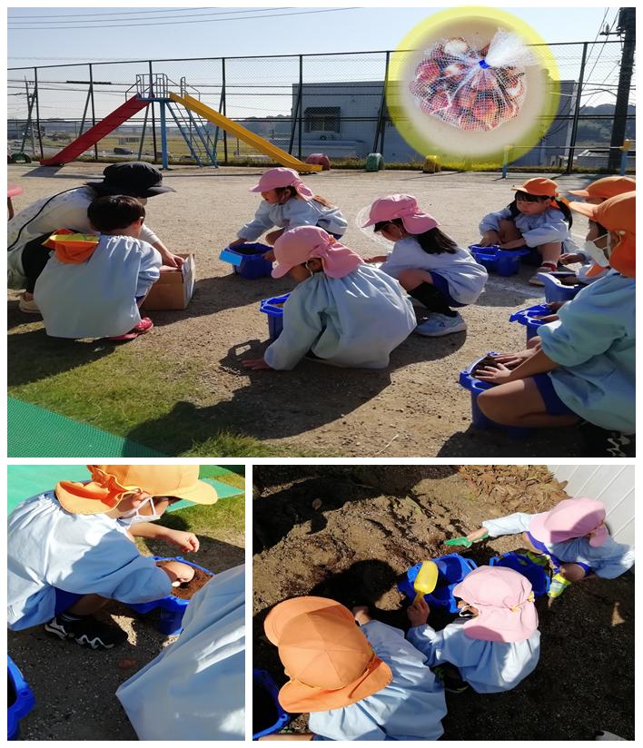 11月18日 11月18日