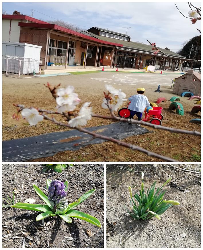 3月16日(1) 3月16日(1)