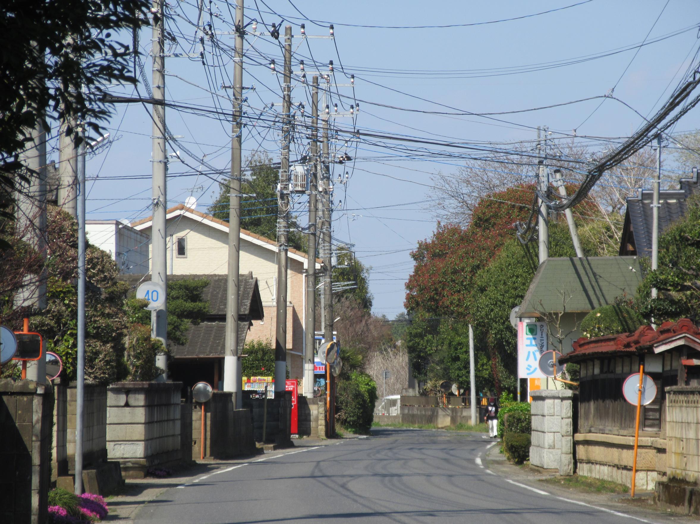 IMG_3487 IMG_3487