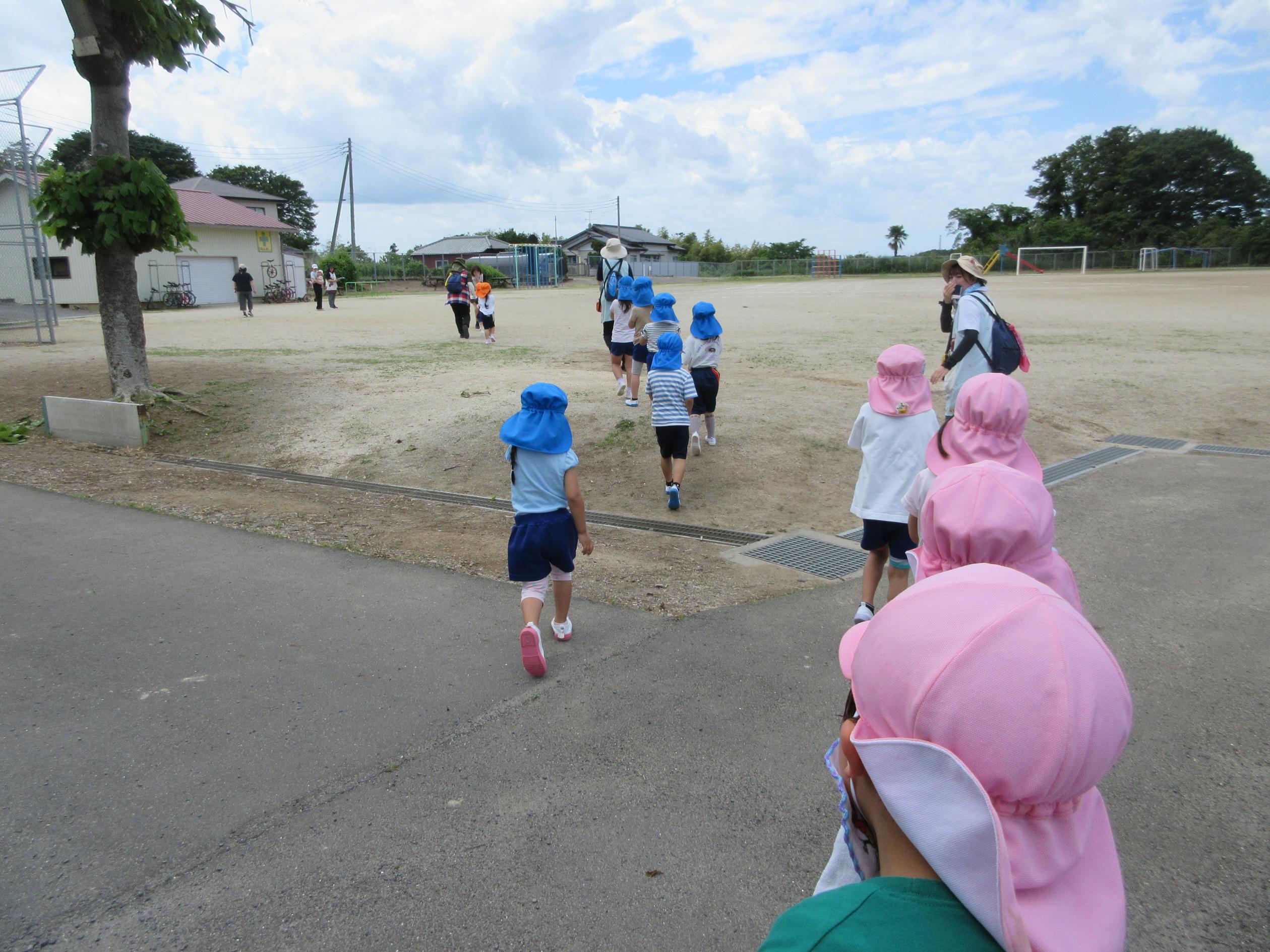 IMG_4862 IMG_4862