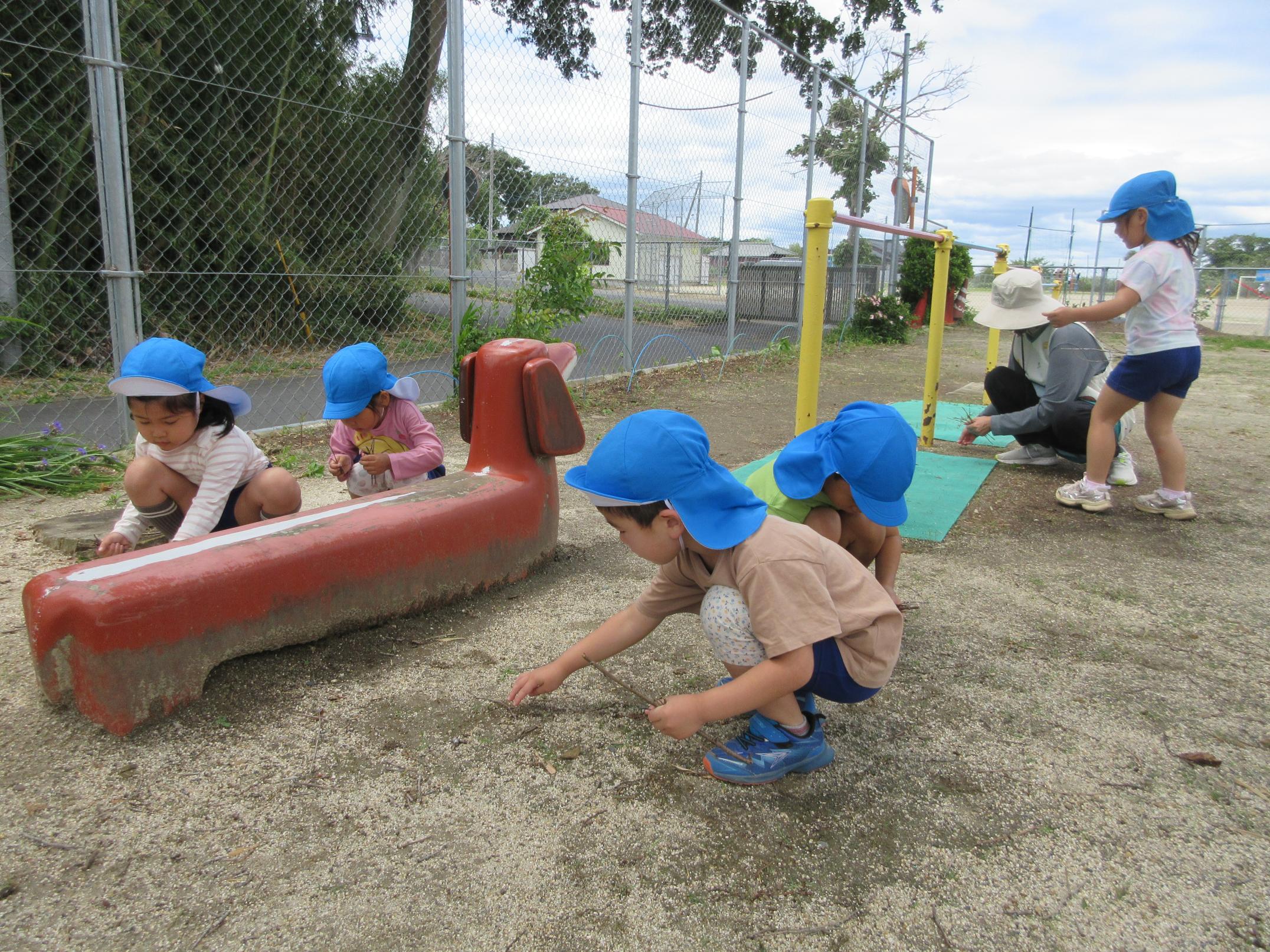 IMG_4880 IMG_4880