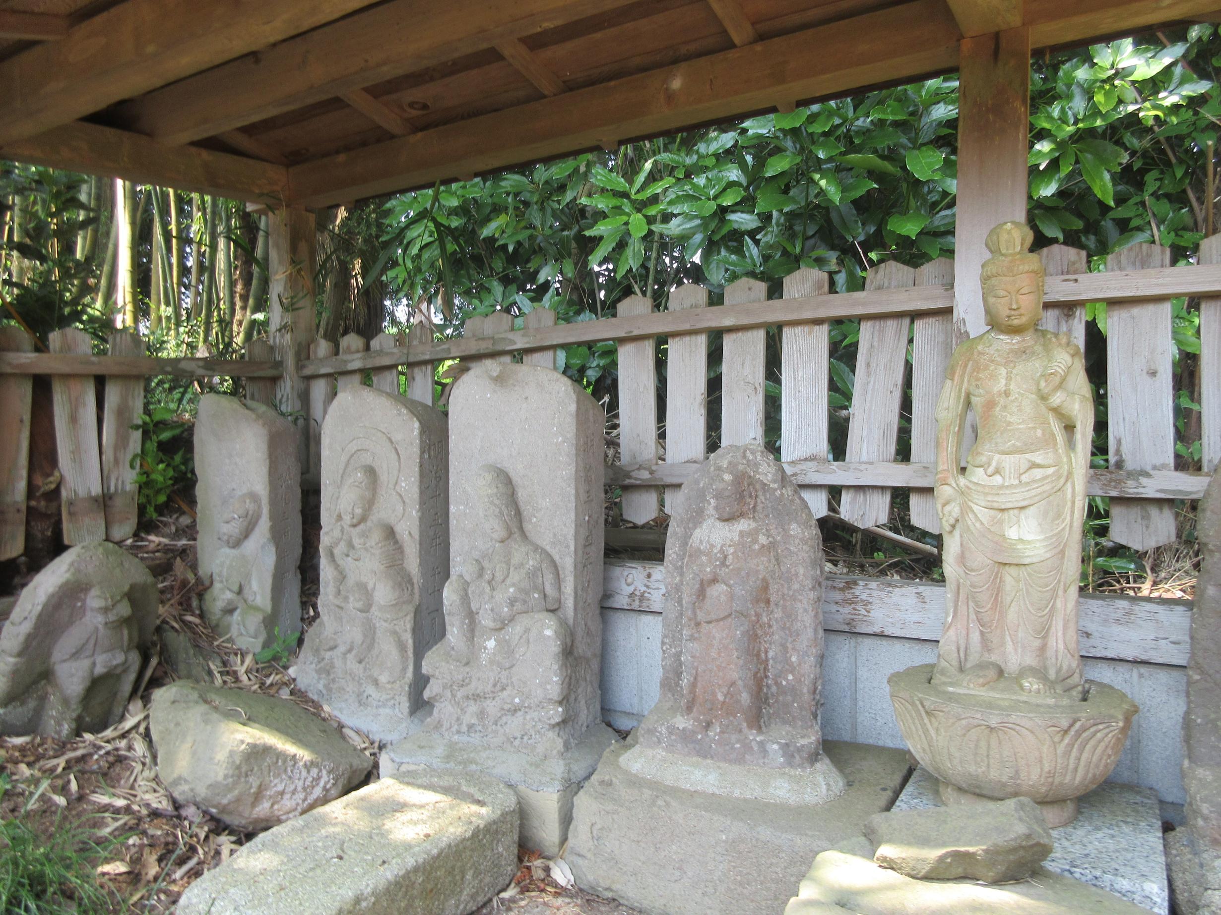 IMG_3713 IMG_3713