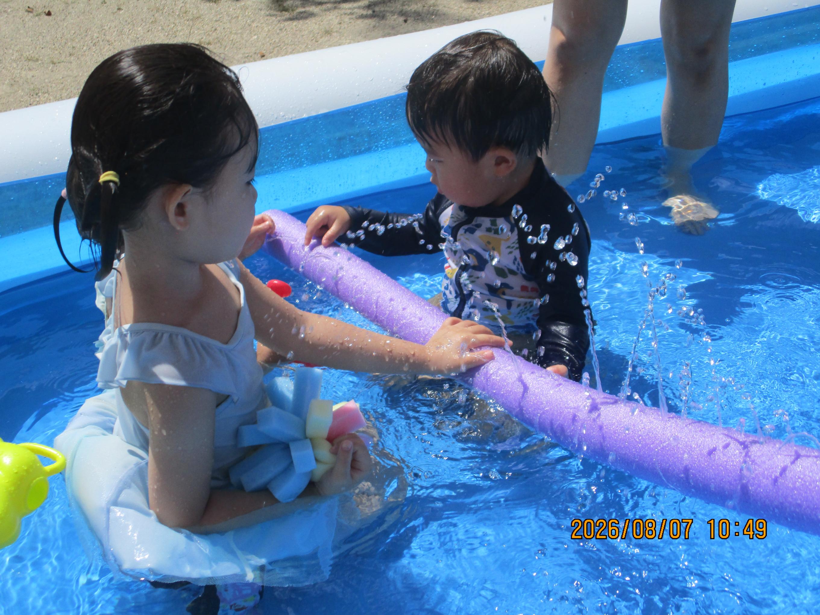IMG_4613 IMG_4613