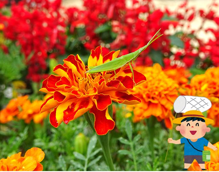 8月17日(1) 8月17日(1)