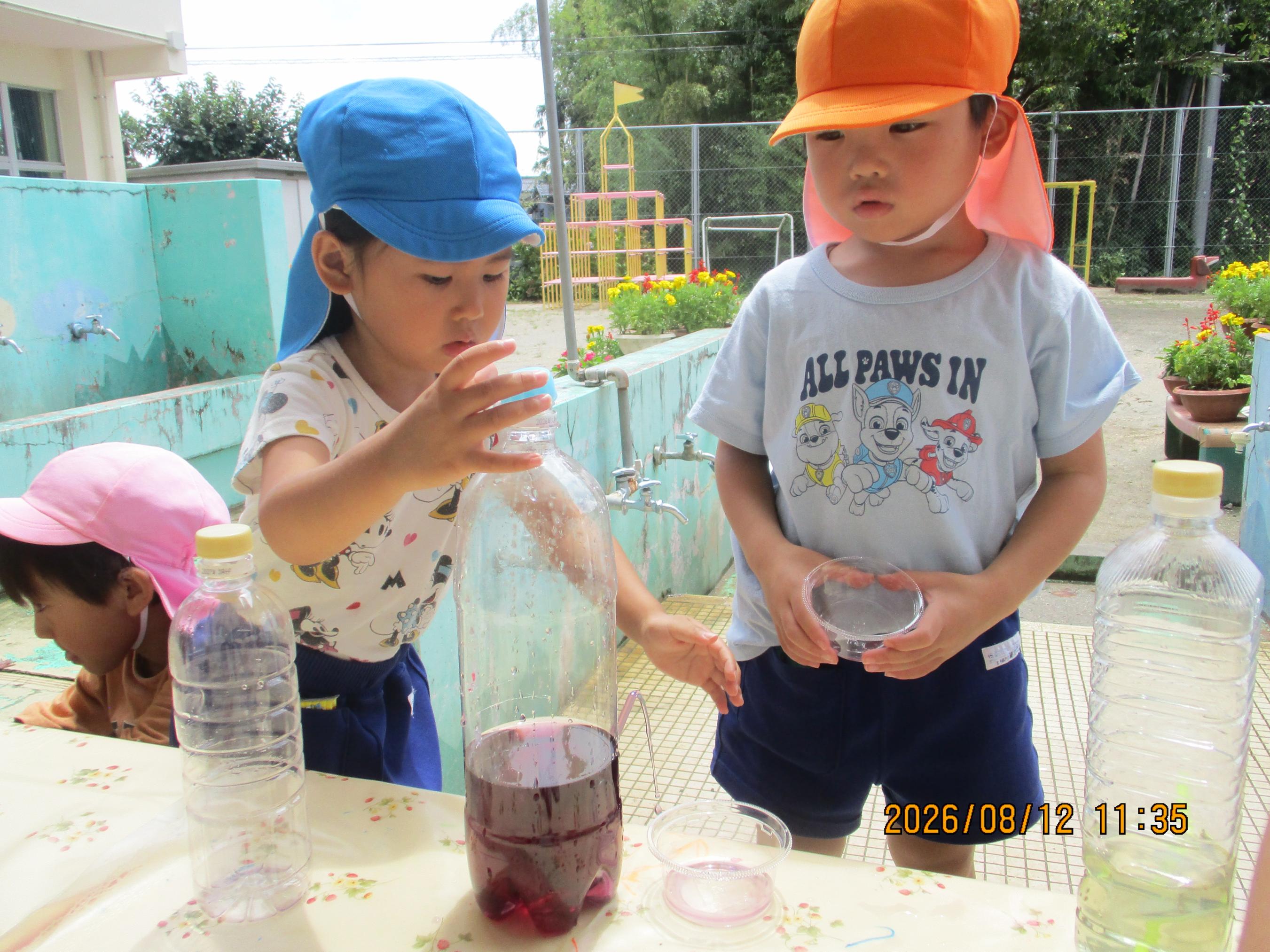 IMG_4651 IMG_4651