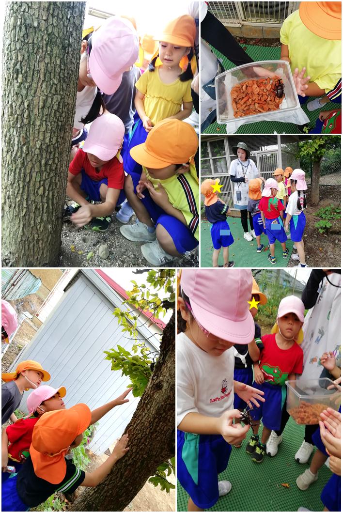 9月4日 9月4日